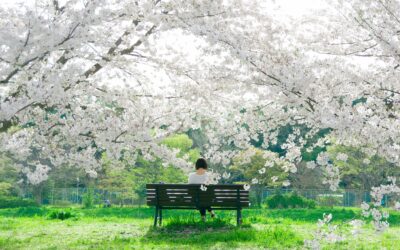 Suffering from Spring Allergies? Acupuncture Can Help